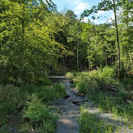 Bievre Forest-edge Retreat