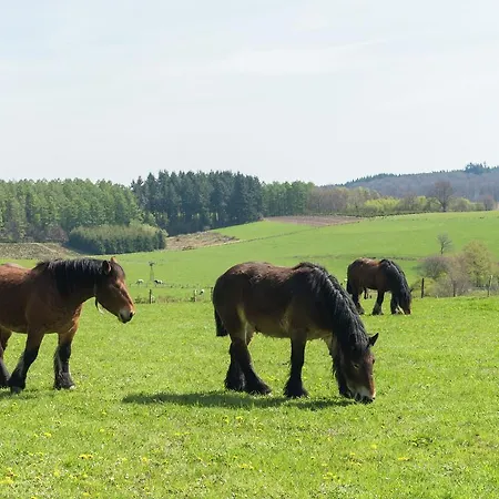 Сasa de vacaciones Bievre Forest-edge Retreat Bellefontaine